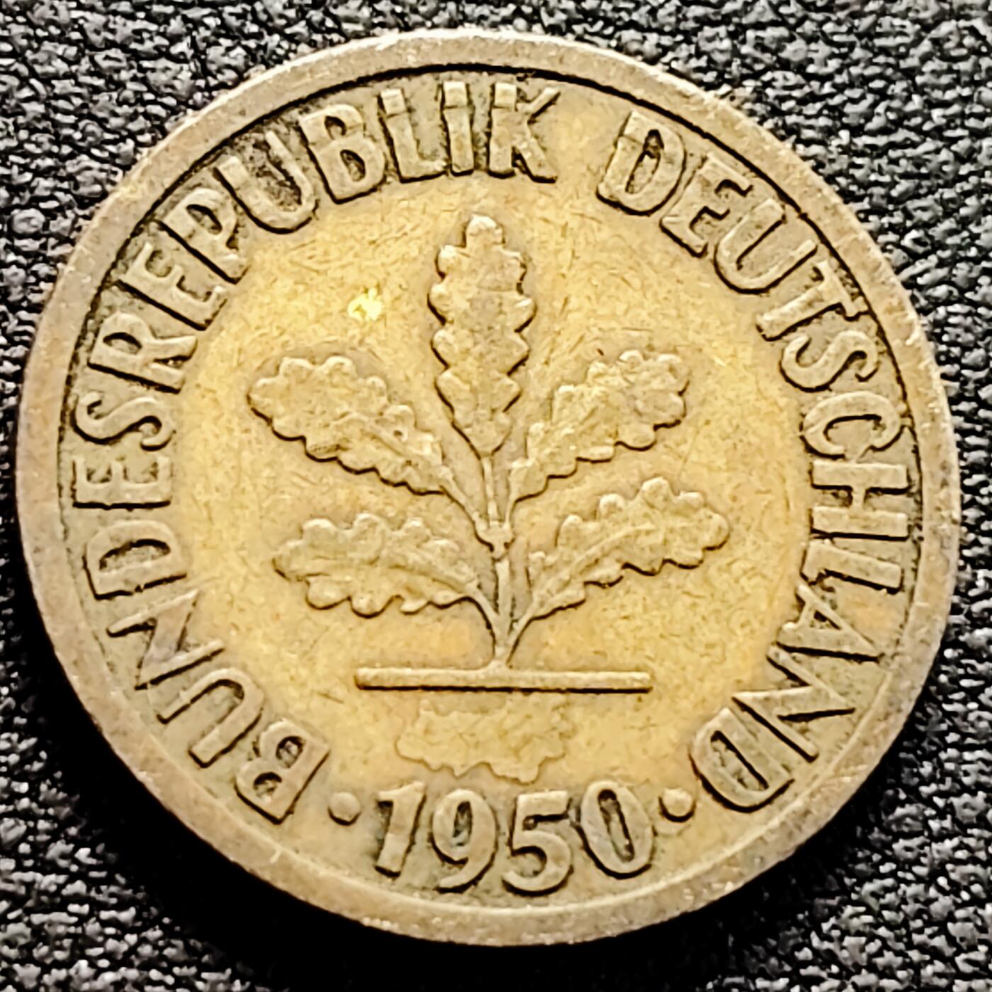 泉币菌-第161场-新年第四场 精品福利场 。