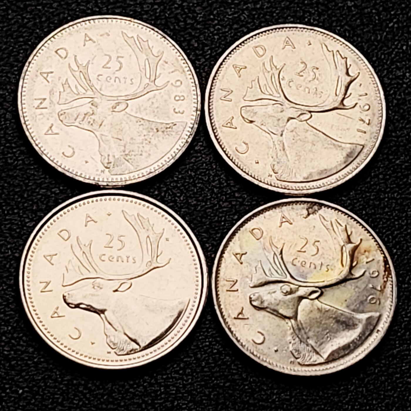 泉币菌-第161场-新年第四场 精品福利场