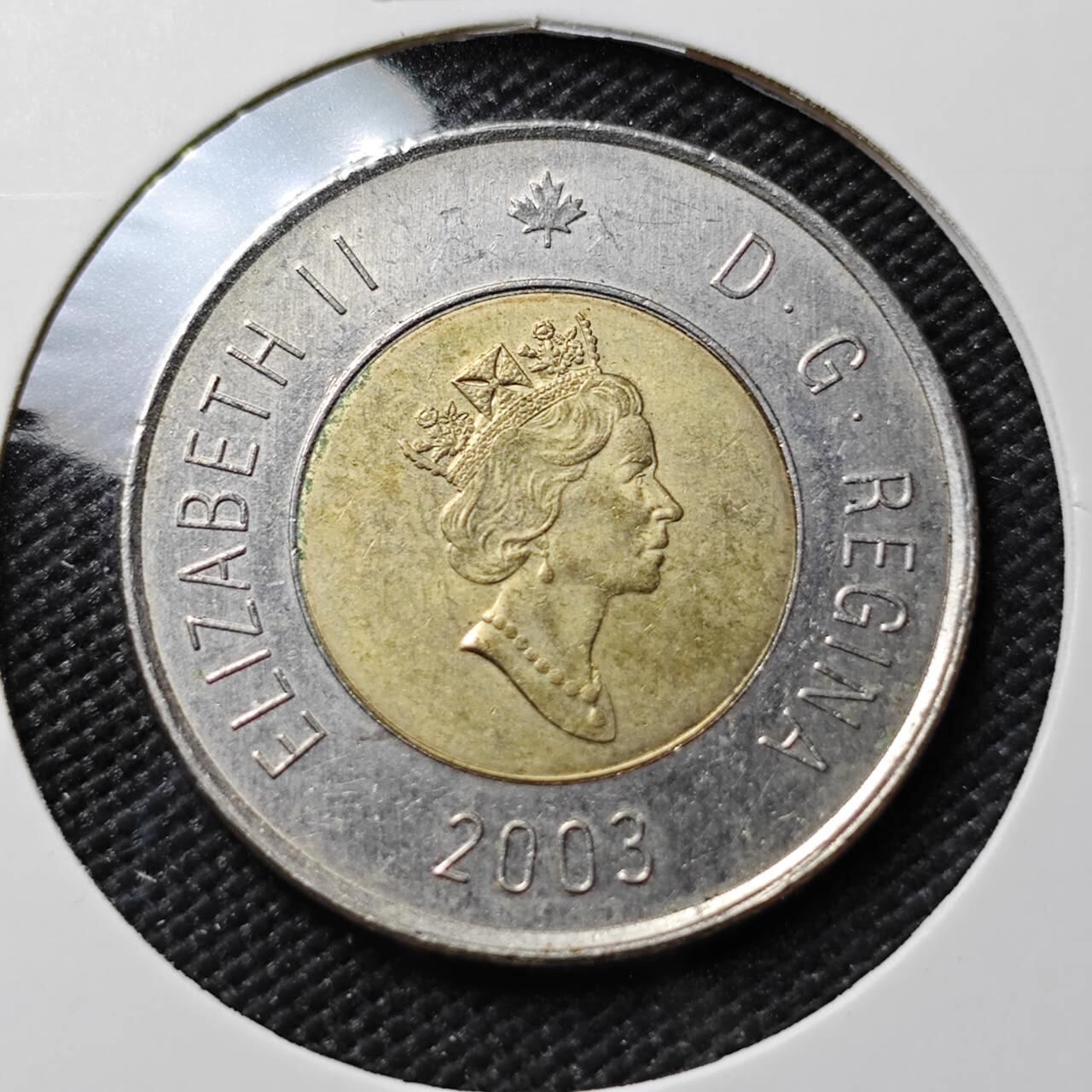 KK钱币收藏小铺  第383期  2月预留时间 周末发货