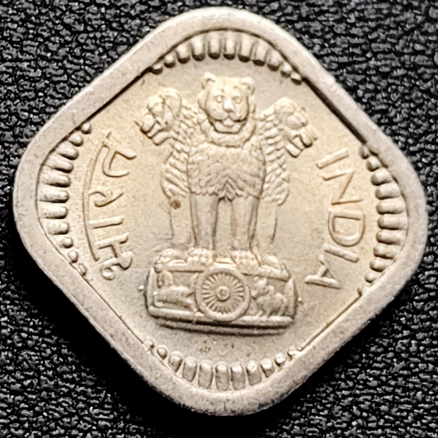 泉币菌-第161场-新年第四场 精品福利场 。