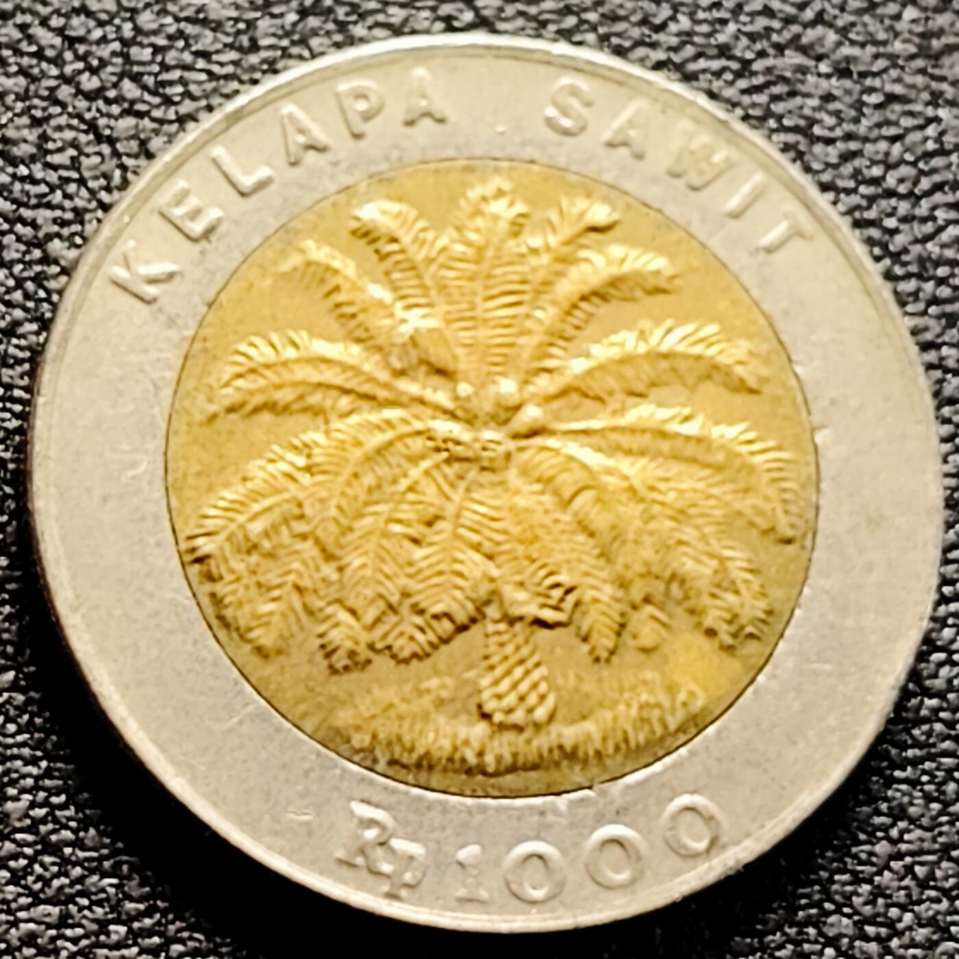 泉币菌-第161场-新年第四场 精品福利场 。