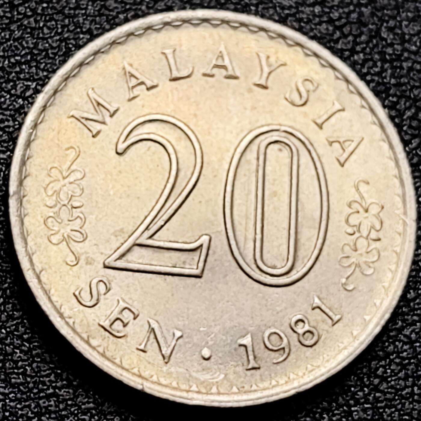 泉币菌-第161场-新年第四场 精品福利场 。