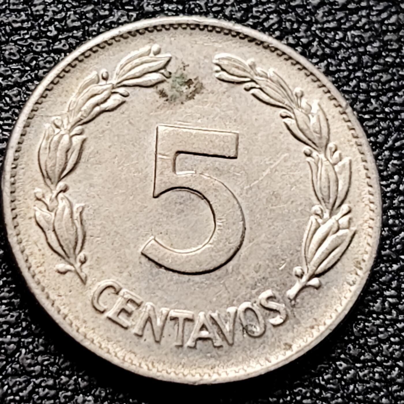 泉币菌-第161场-新年第四场 精品福利场 。