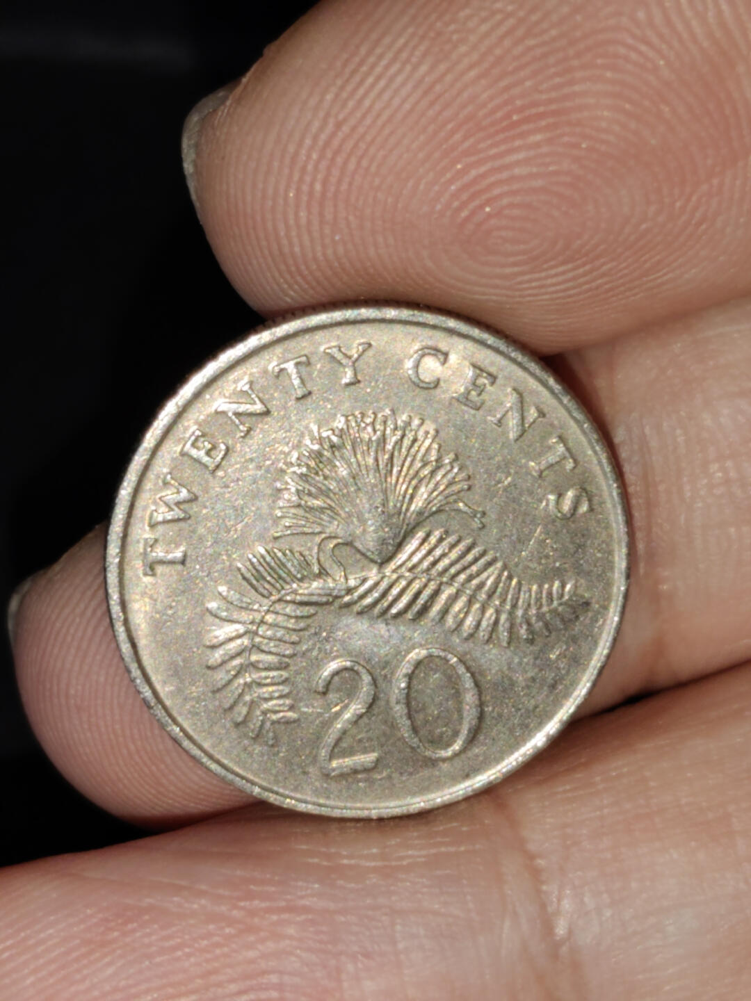 猩哥外币小铺➨【第216场】 新加坡