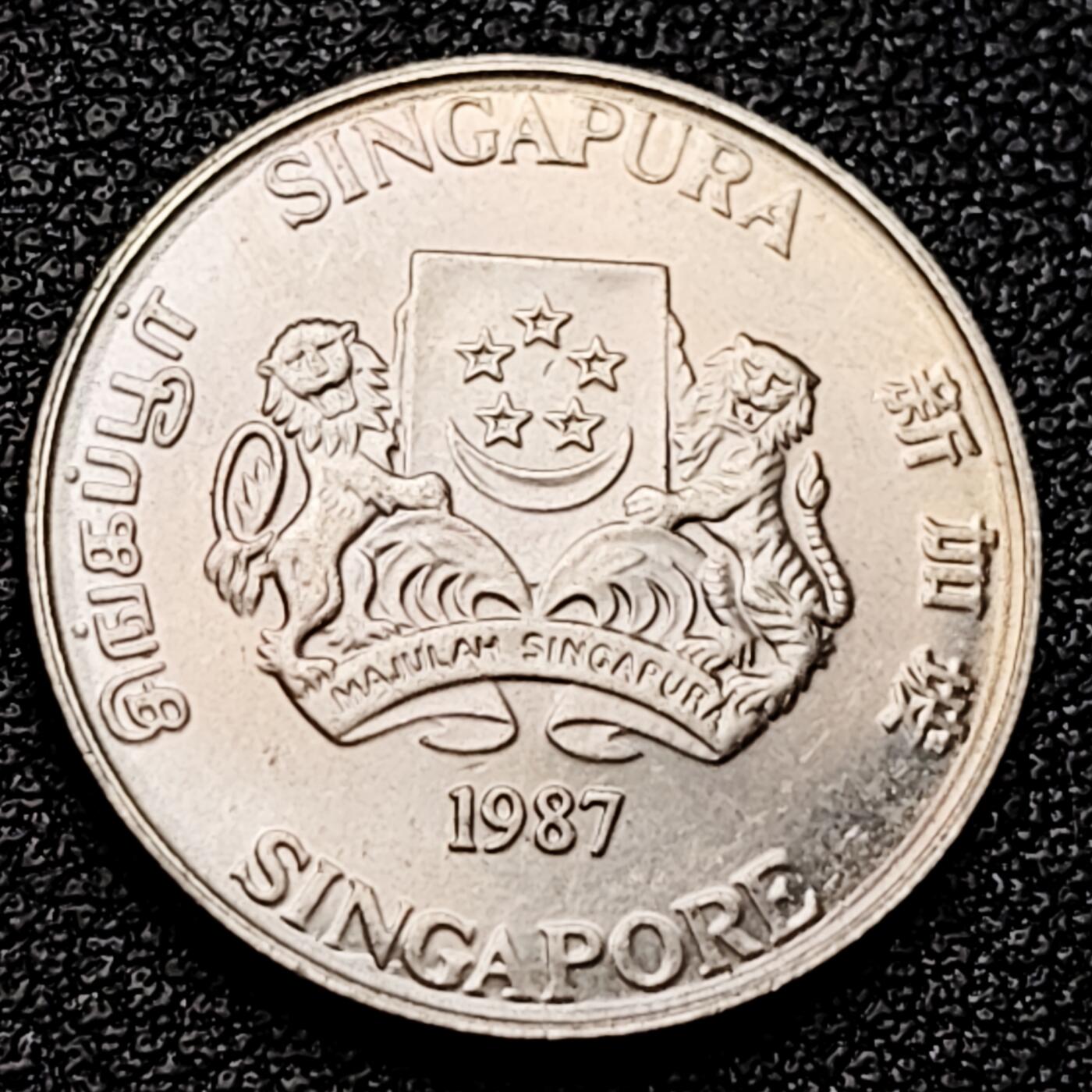 泉币菌-第161场-新年第四场 精品福利场 。