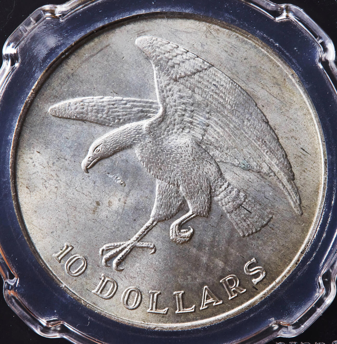 【俄甄集藏】2026年(046)01-07 星期三 晚 19:30 全场包邮 新加坡1973年老鹰1盎司10元大银币，信泰 MS64，转光品相，经典品种，重31.1克，90%银