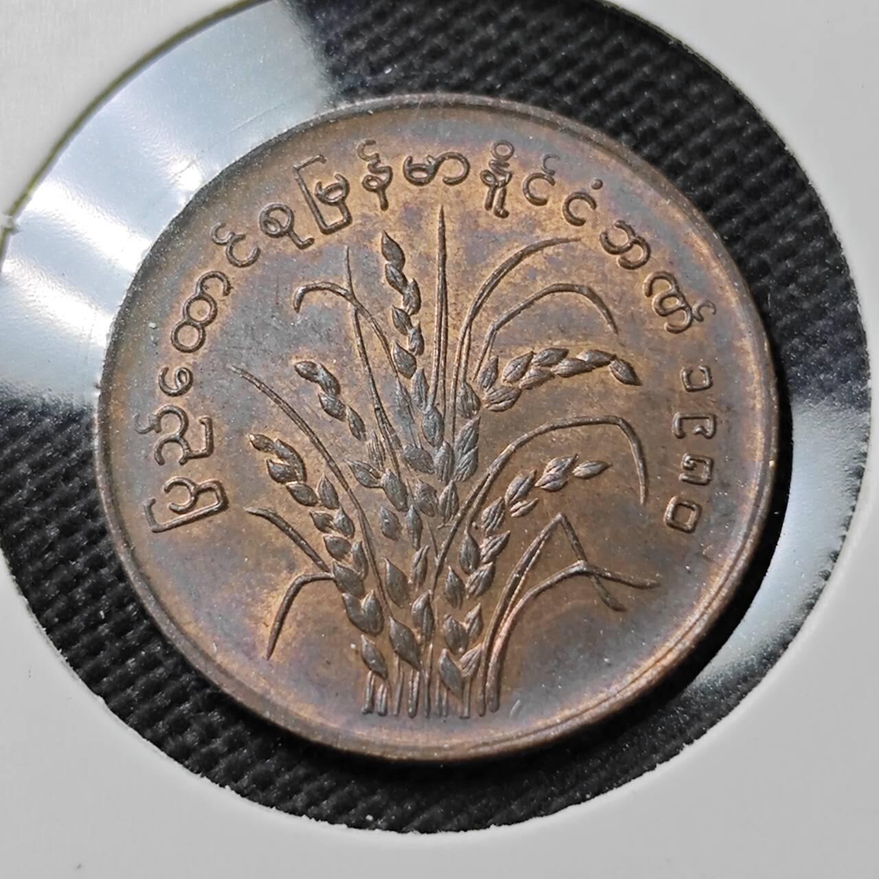 KK钱币收藏小铺  第385期  2月预留时间 周末发货