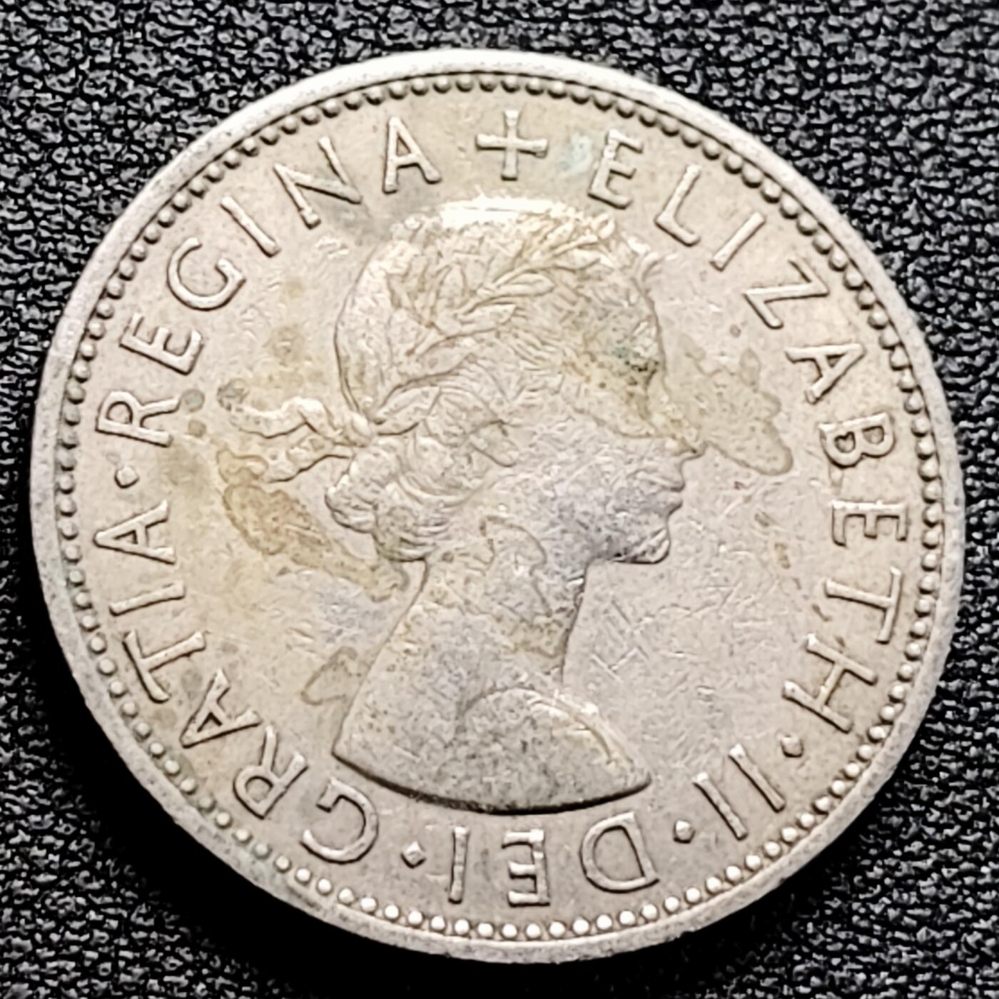 泉币菌-第161场-新年第四场 精品福利场 。