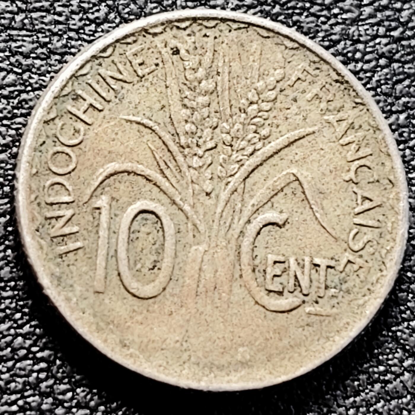 泉币菌-第161场-新年第四场 精品福利场 。