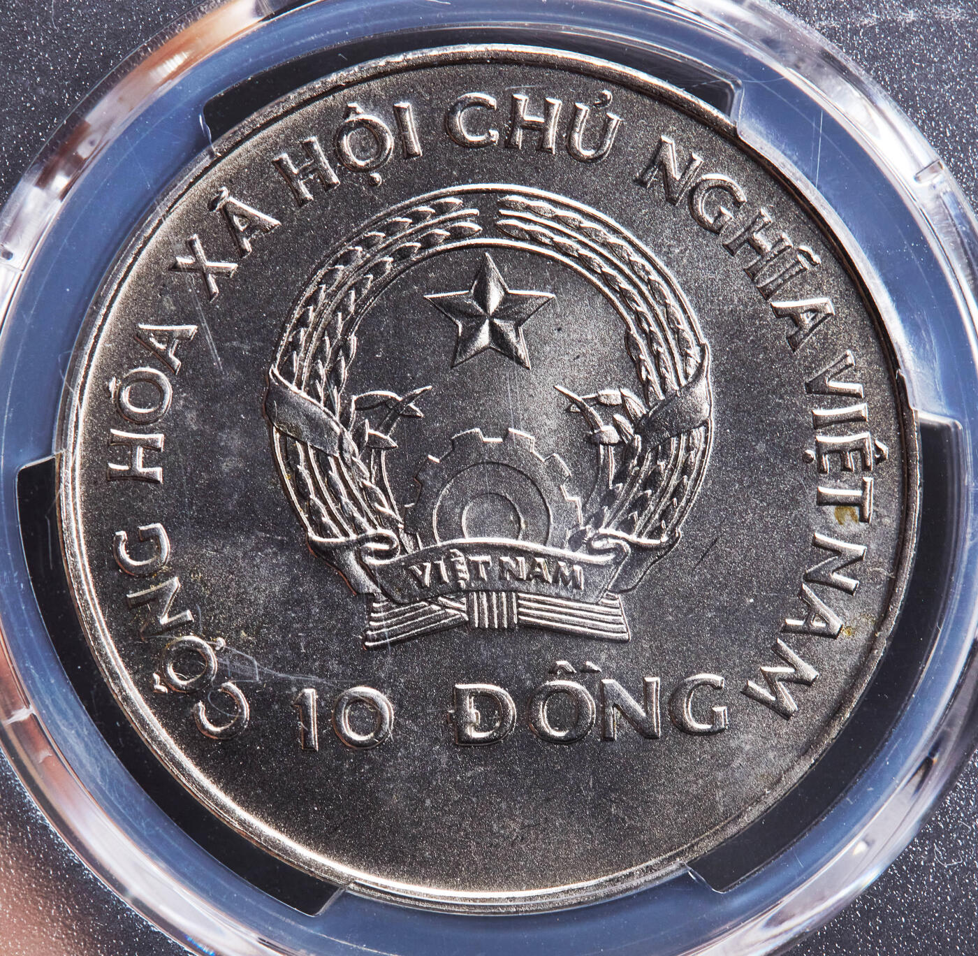 【俄甄集藏】2026年(046)01-07 星期三 晚 19:30 全场包邮