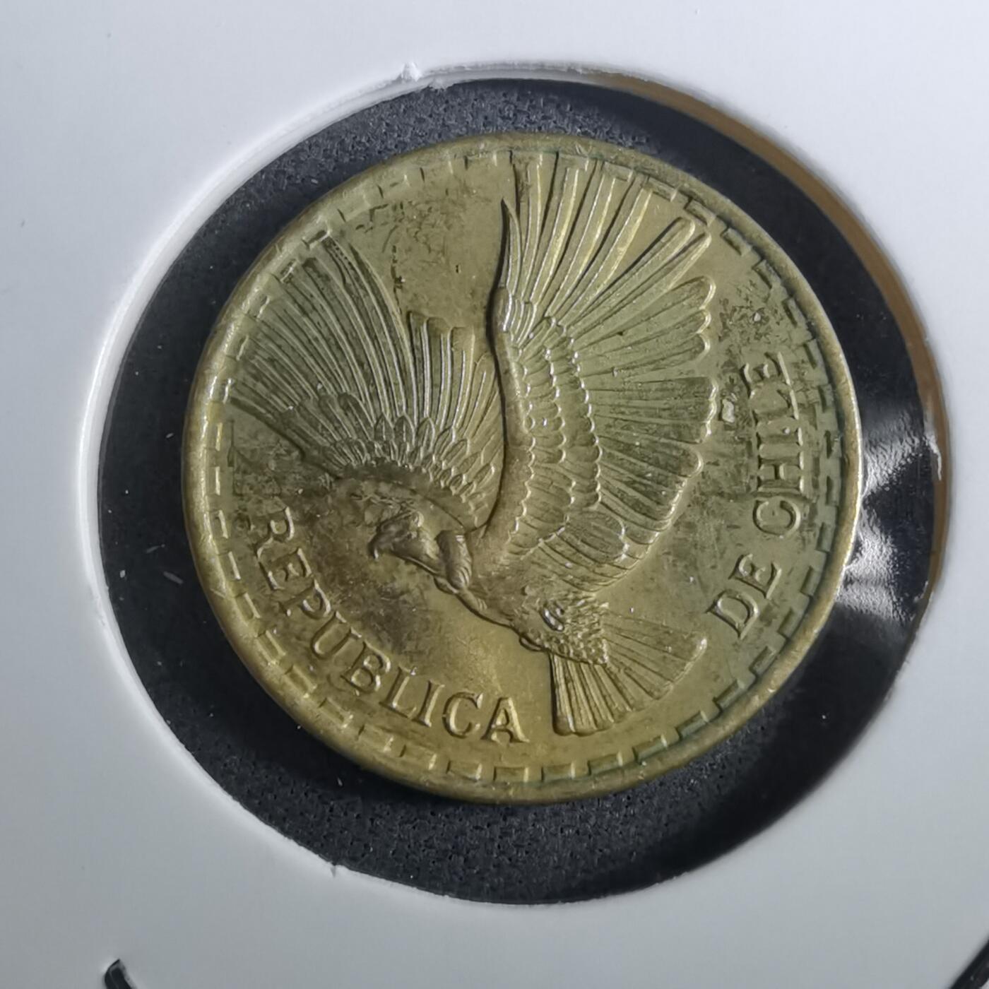 沼泽如烟--第950场