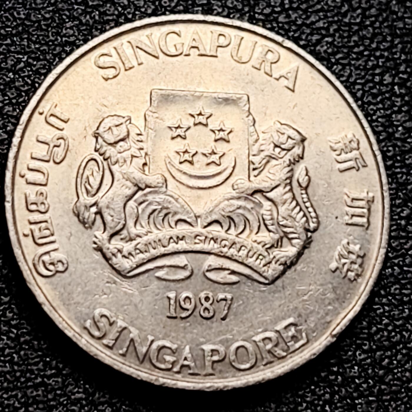 泉币菌-第161场-新年第四场 精品福利场 。