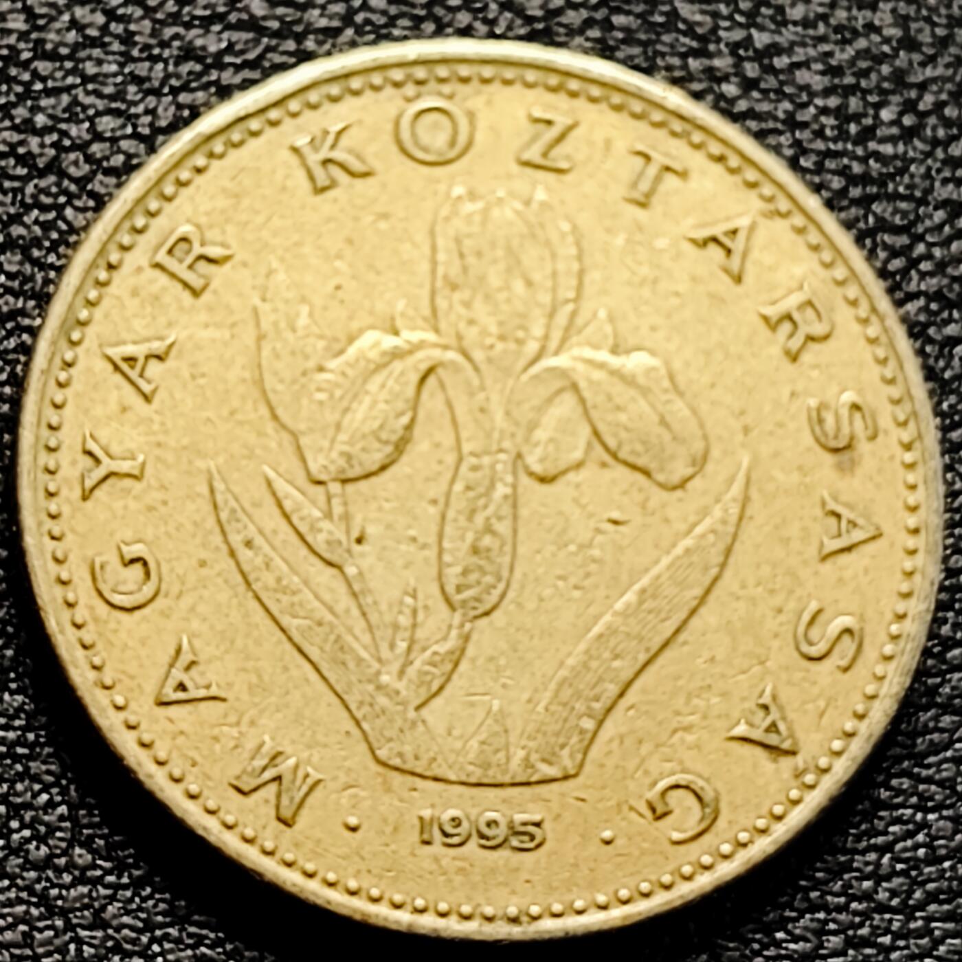 泉币菌-第161场-新年第四场 精品福利场 。