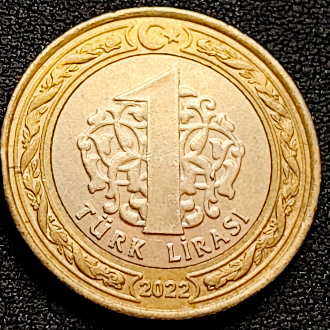 泉币菌-第160场-新年第三场 精品福利场 2022欧洲钱币土耳其硬币1里拉双色硬币 国父凯末尔总统 