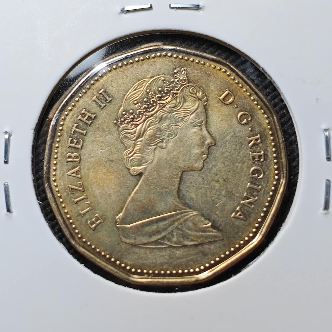 KK钱币收藏小铺  第384期  2月预留时间 周末发货  加拿大一元好品