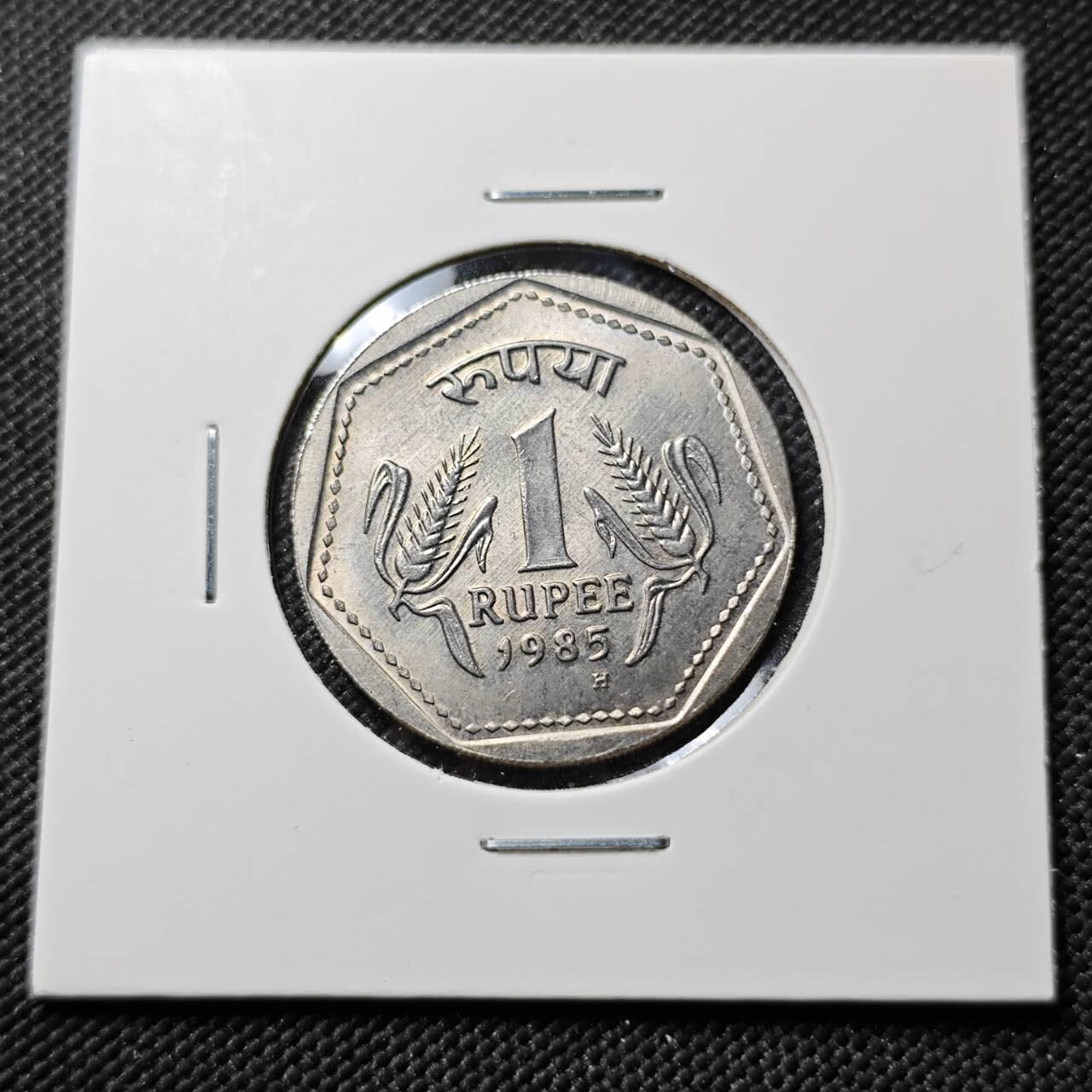 KK钱币收藏小铺  第384期  2月预留时间 周末发货