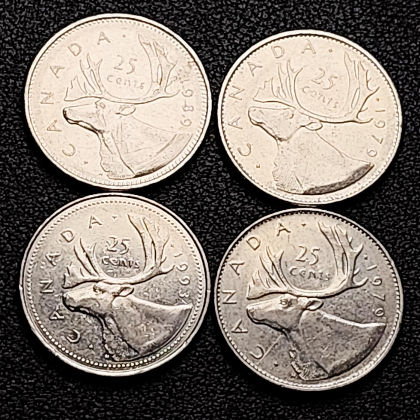 泉币菌-第161场-新年第四场 精品福利场