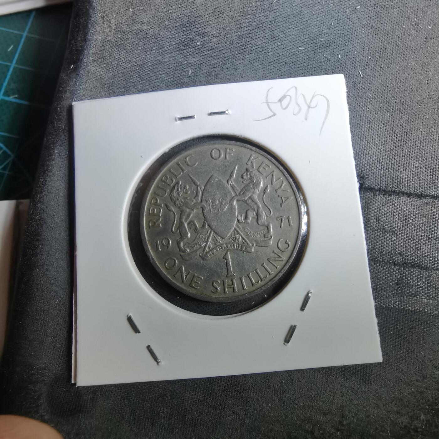 沼泽如烟--第950场