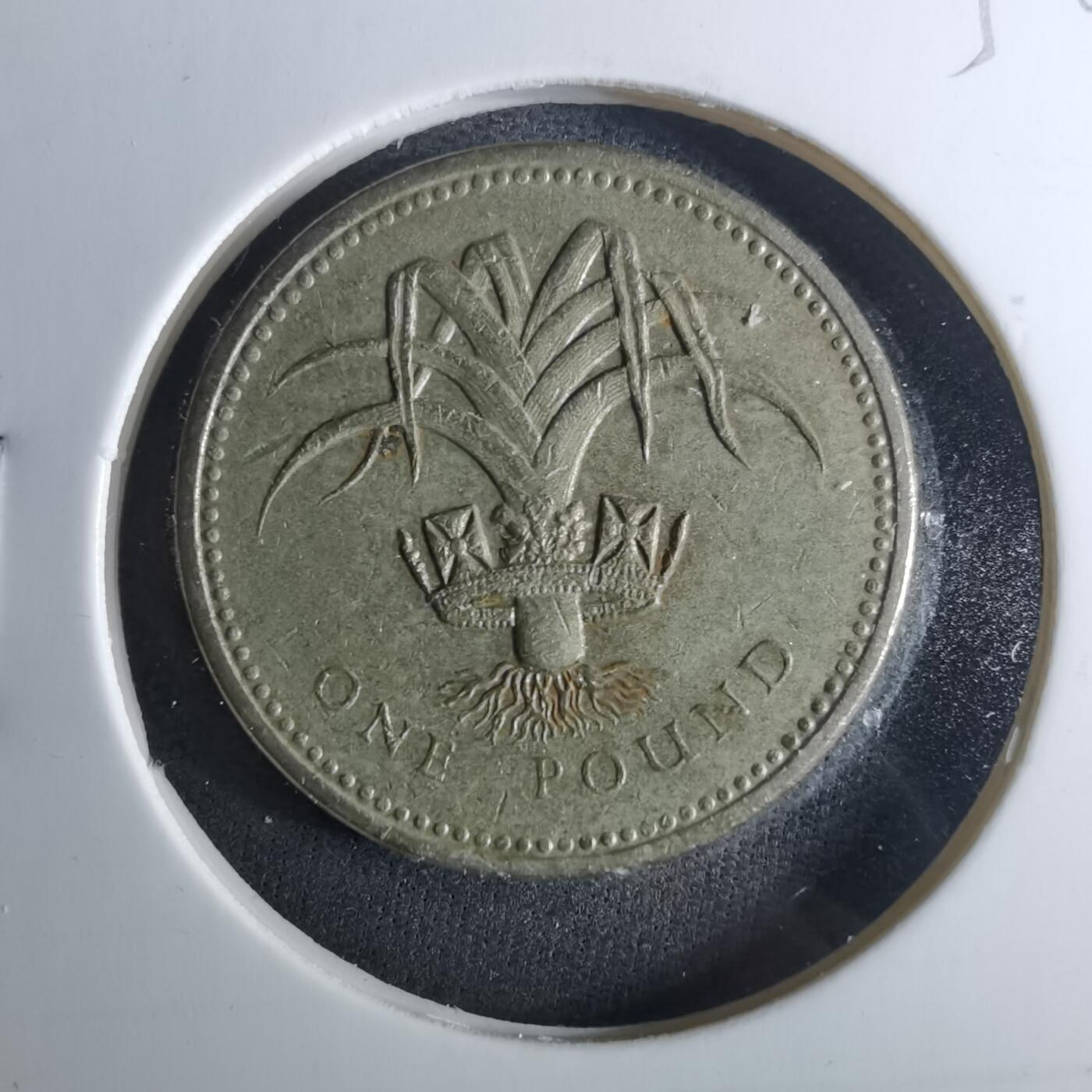 沼泽如烟--第952场 英国1985年1磅