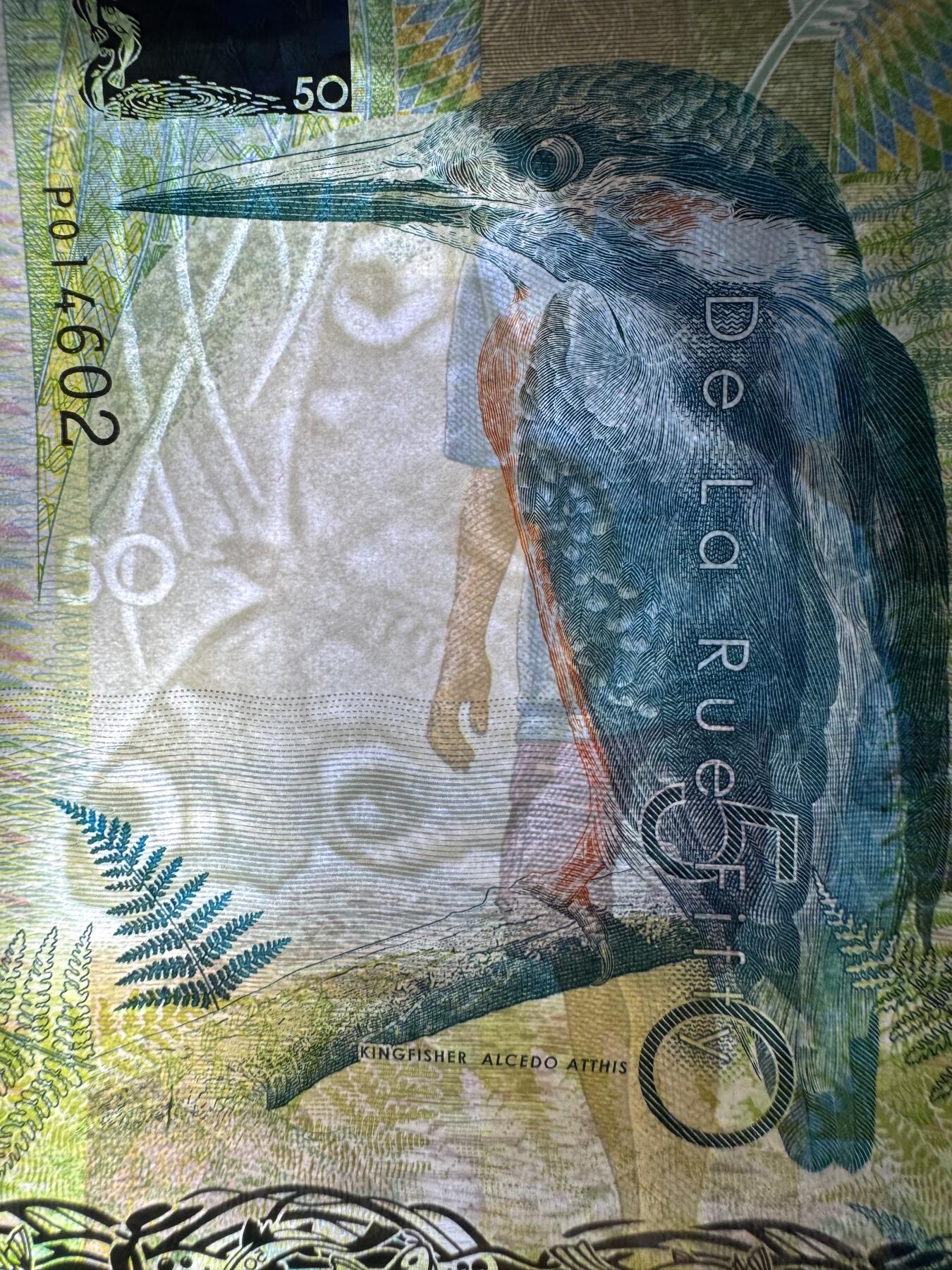 2026第1场（总第228期）：精品测试钞、外钞、塑料钞、连体钞综合场 德纳罗DLR “翠鸟”Optiks窗口测试钞UNC（有机压痕）