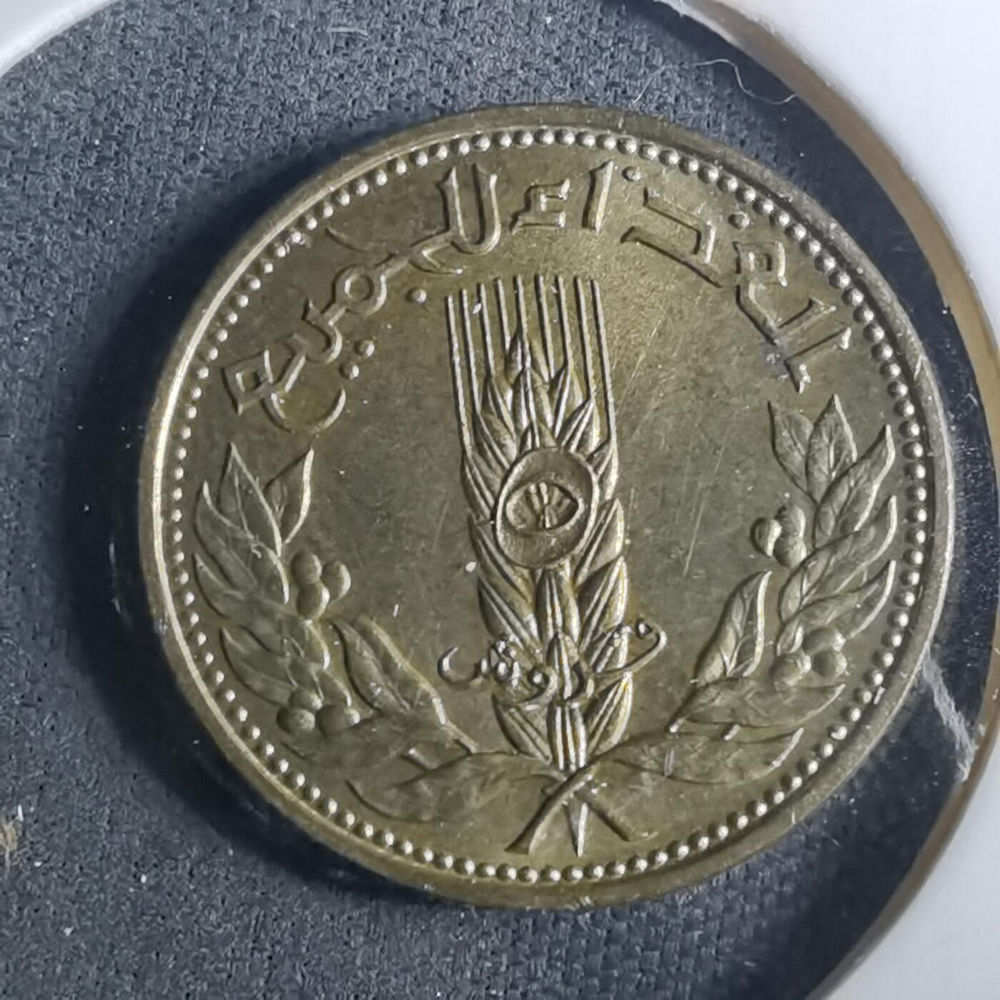 沼泽如烟--第952场 叙利亚