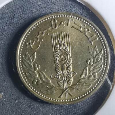 沼泽如烟--第952场 - 叙利亚