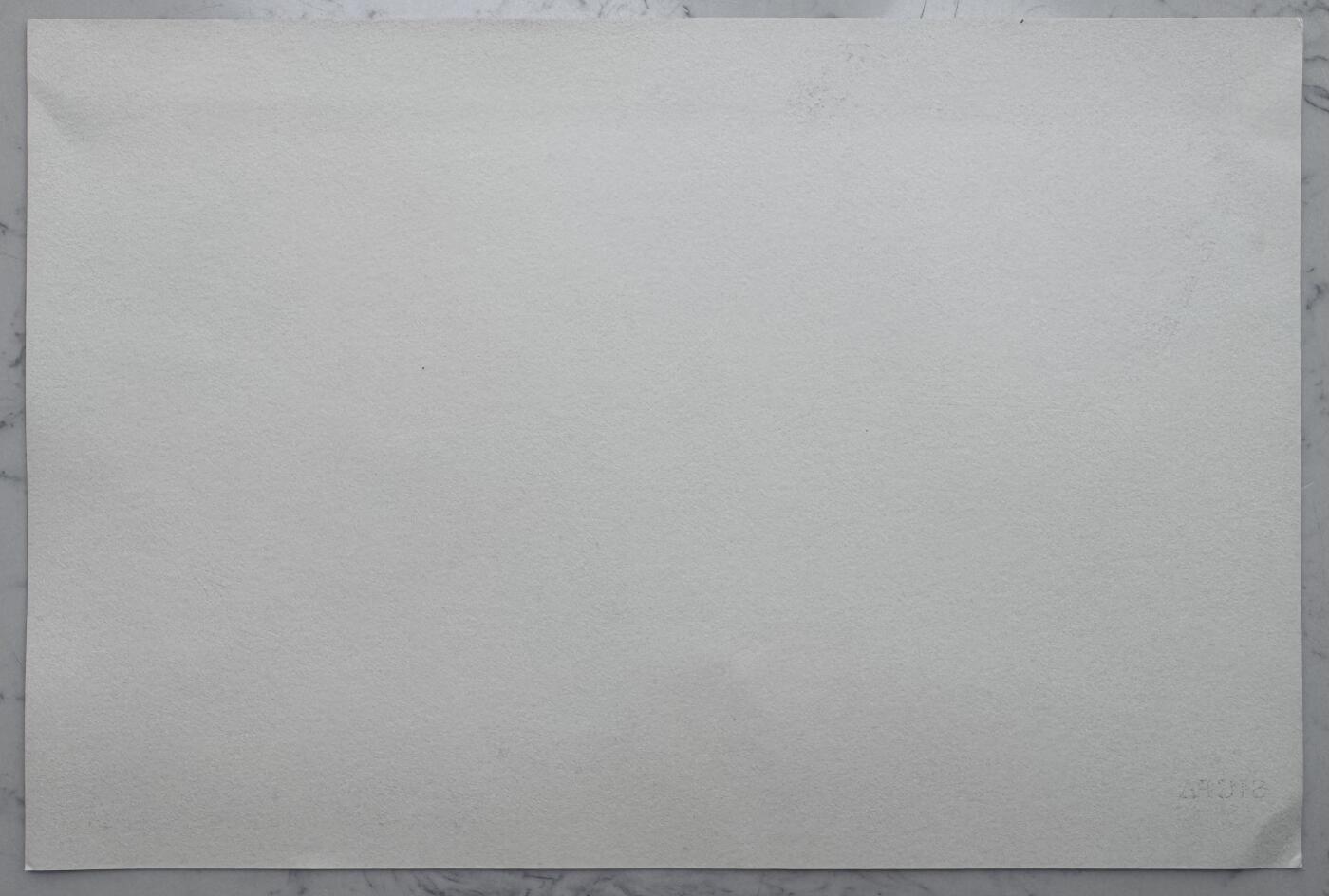 2026第1场（总第228期）：精品测试钞、外钞、塑料钞、连体钞综合场