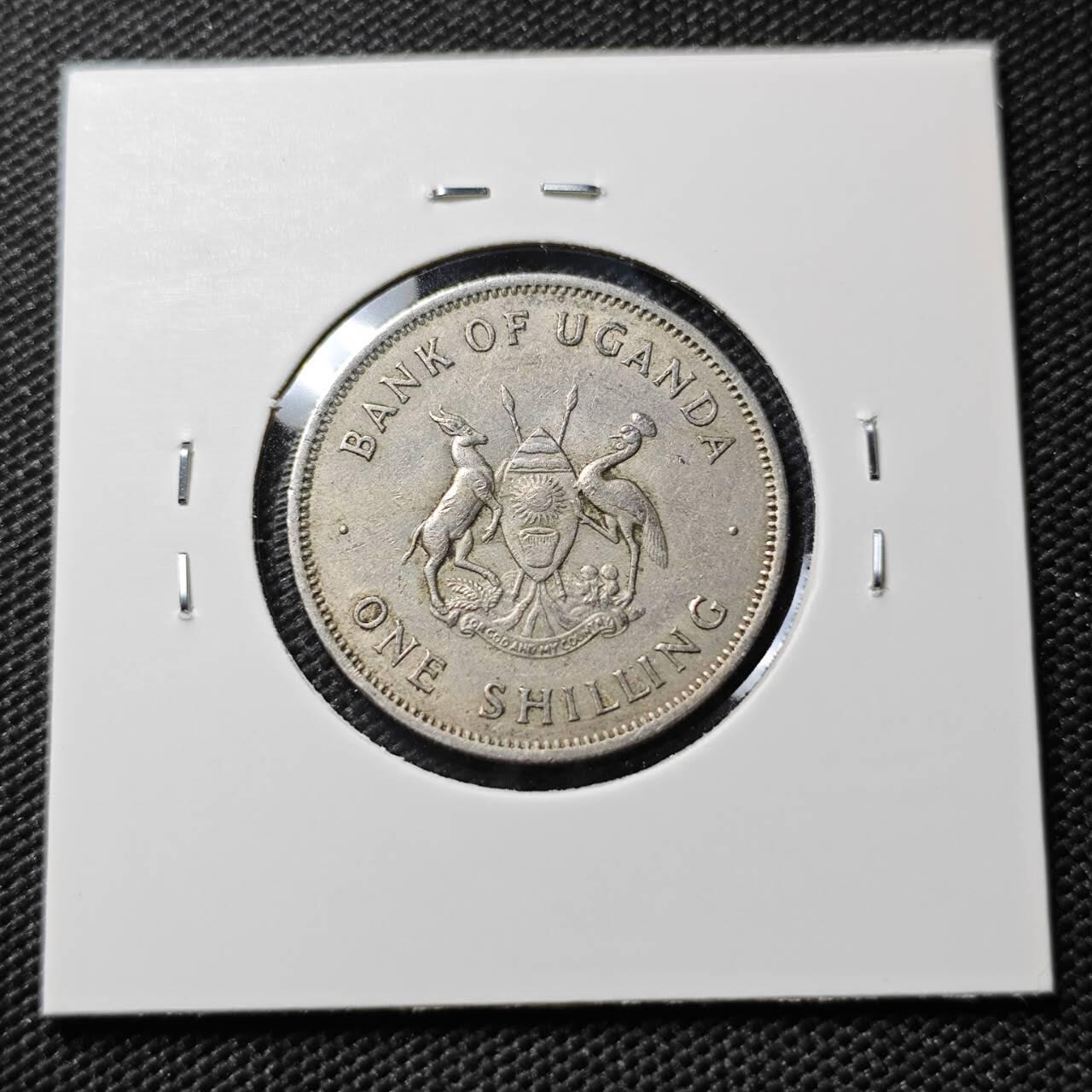 KK钱币收藏小铺  第385期  2月预留时间 周末发货