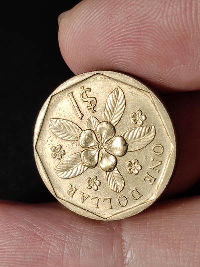 猩哥外币小铺➨【第216场】 - 新加坡