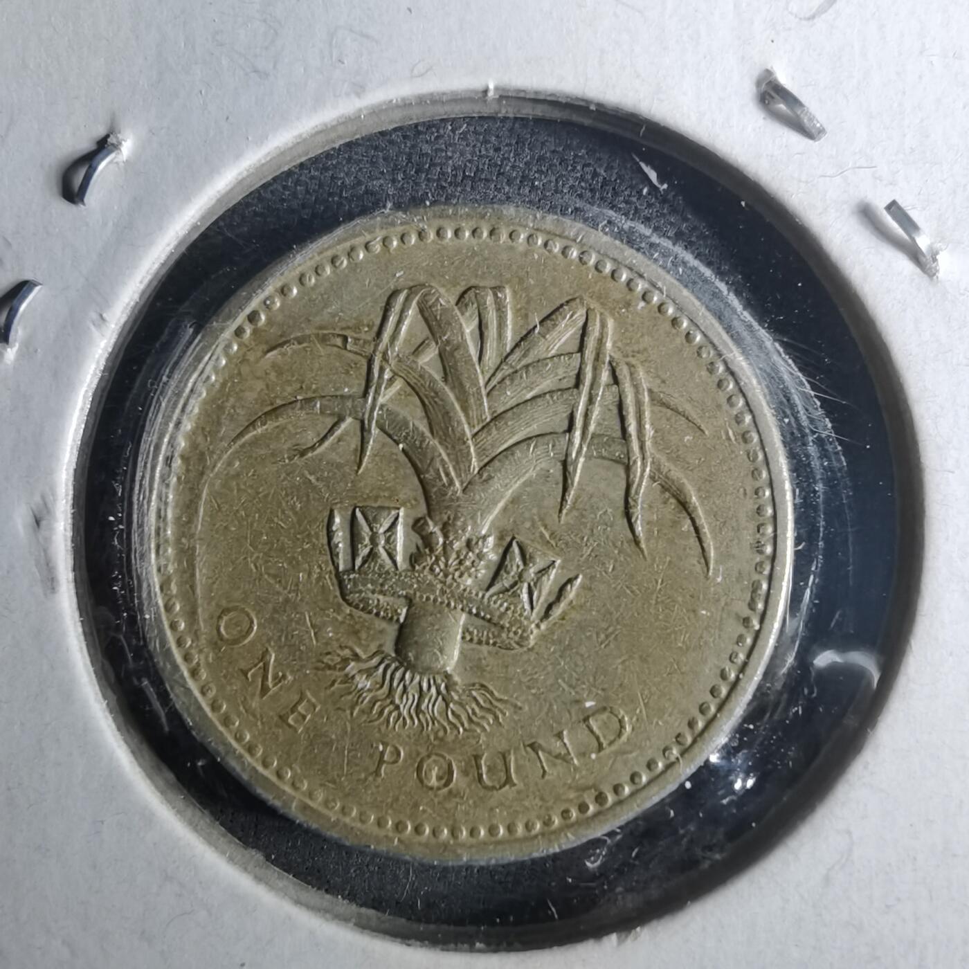 沼泽如烟--第952场 英国1985年1磅