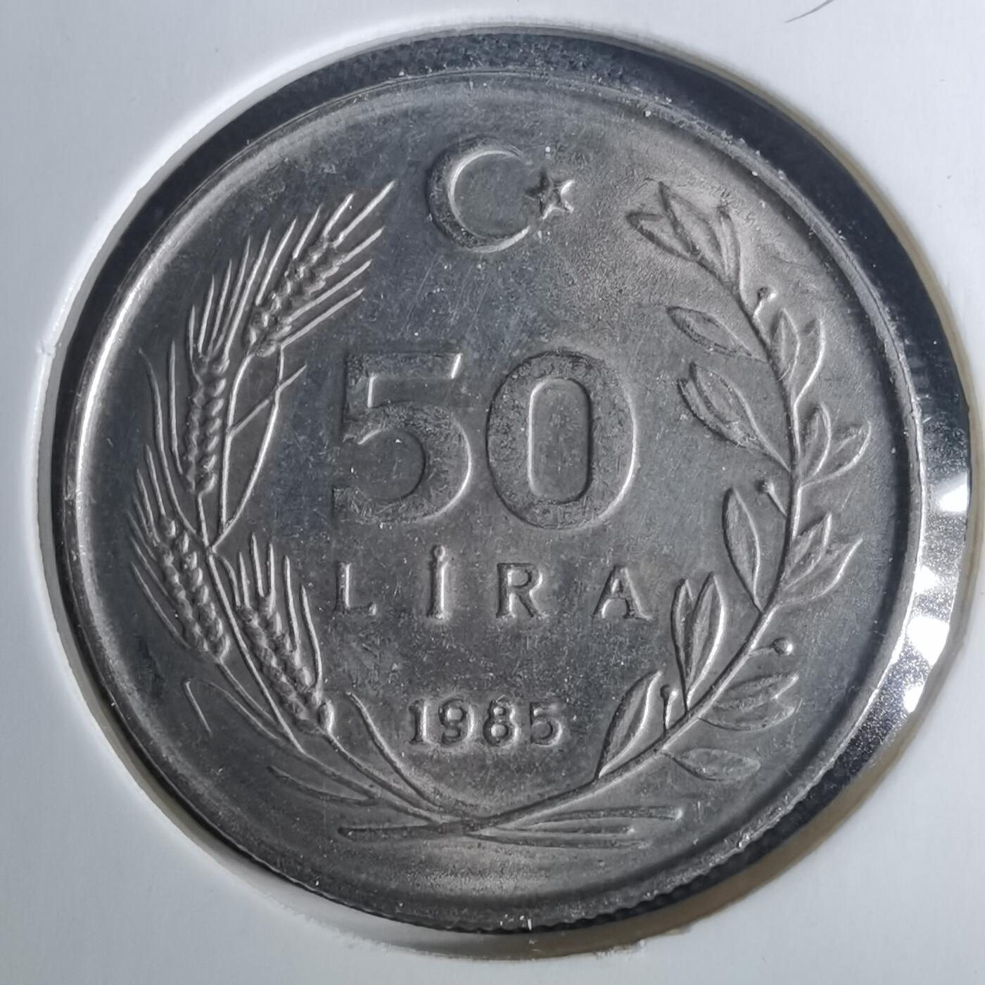 沼泽如烟--第952场