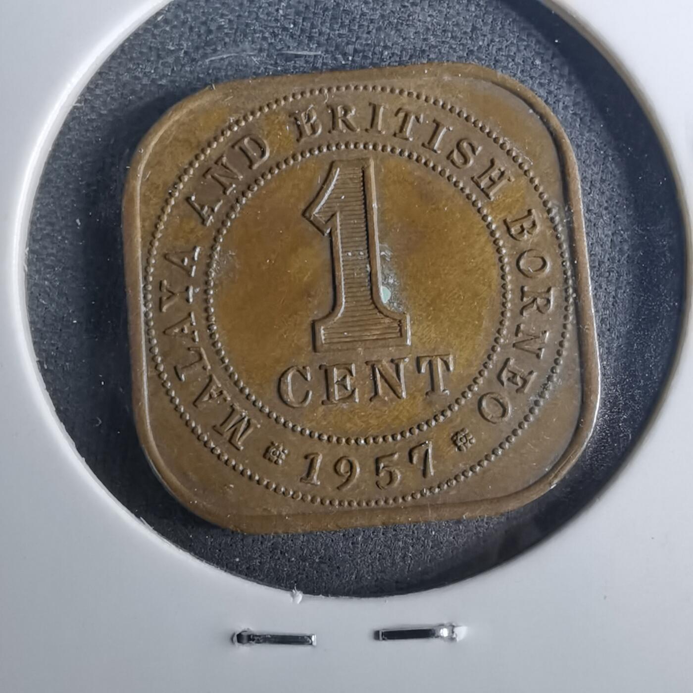 沼泽如烟--第952场