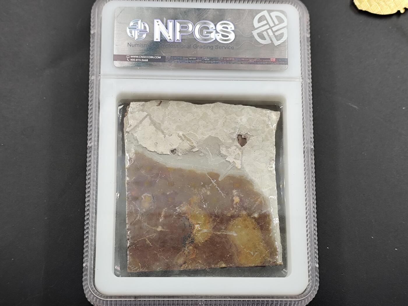 1月6日徽章钱币专场 众诚评级狼鳍鱼化石群 