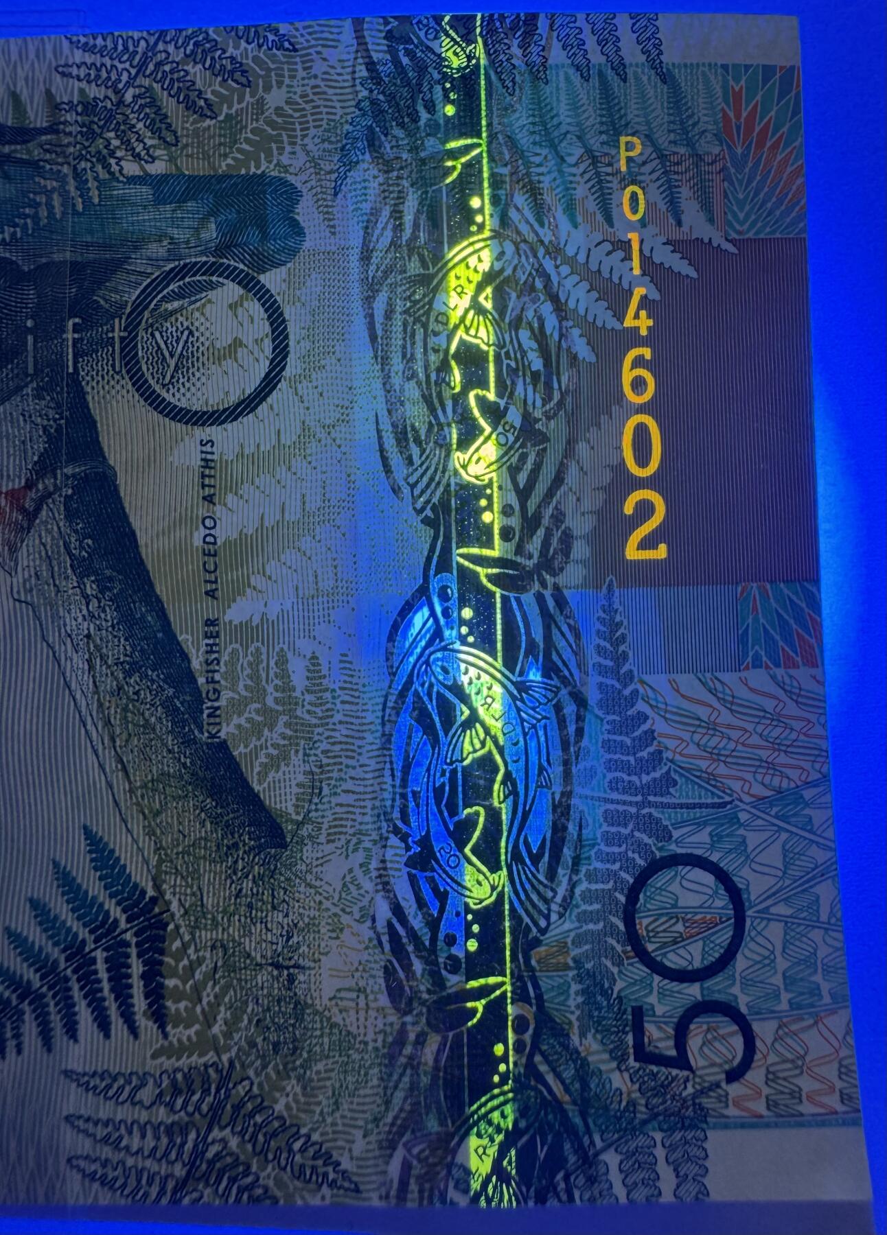 2026第1场（总第228期）：精品测试钞、外钞、塑料钞、连体钞综合场 德纳罗DLR “翠鸟”Optiks窗口测试钞UNC（有机压痕）