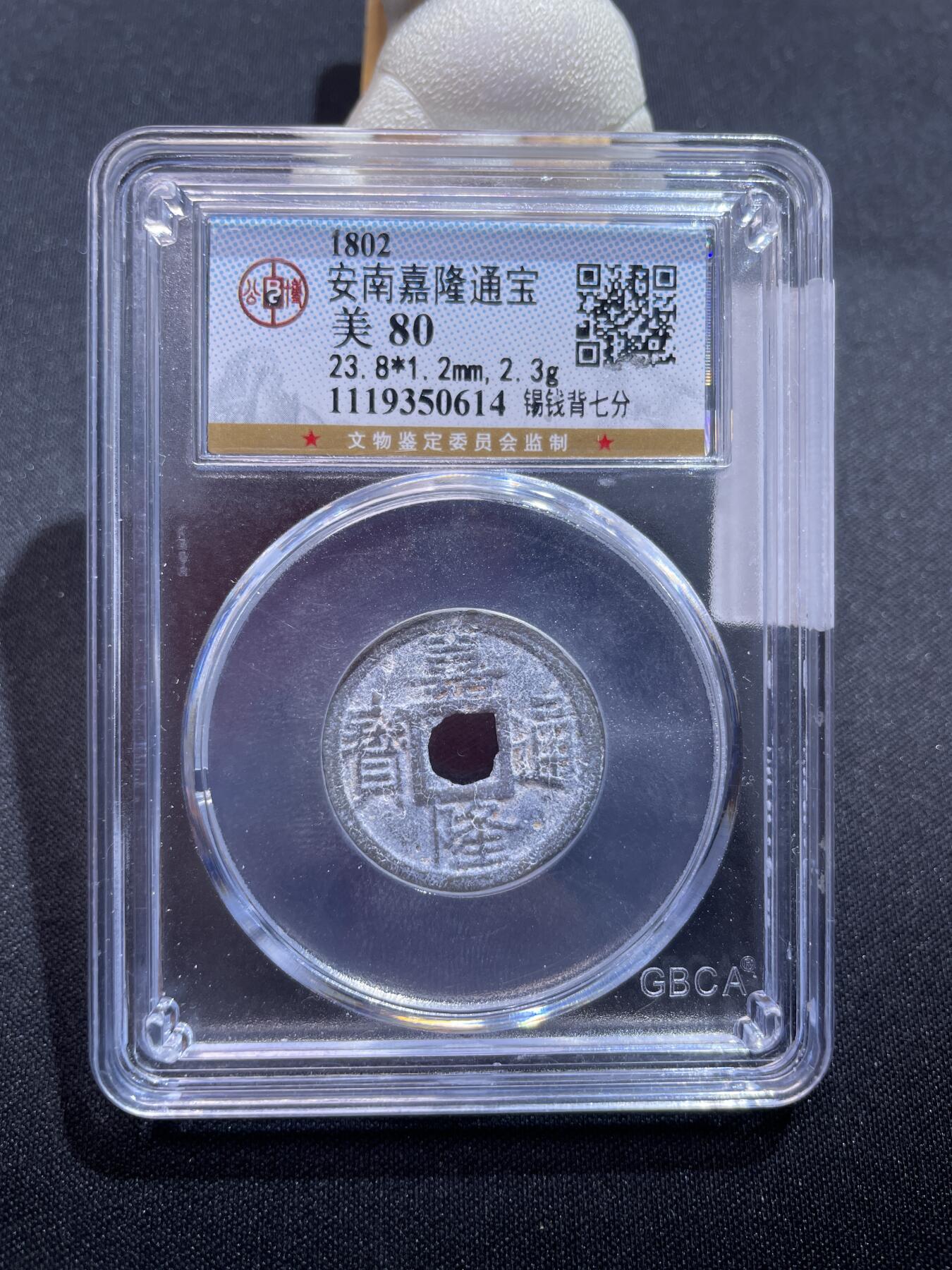 捡漏专场 安南嘉隆通宝