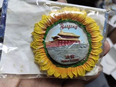 风光无限-精美冰箱贴 - 北京故宫