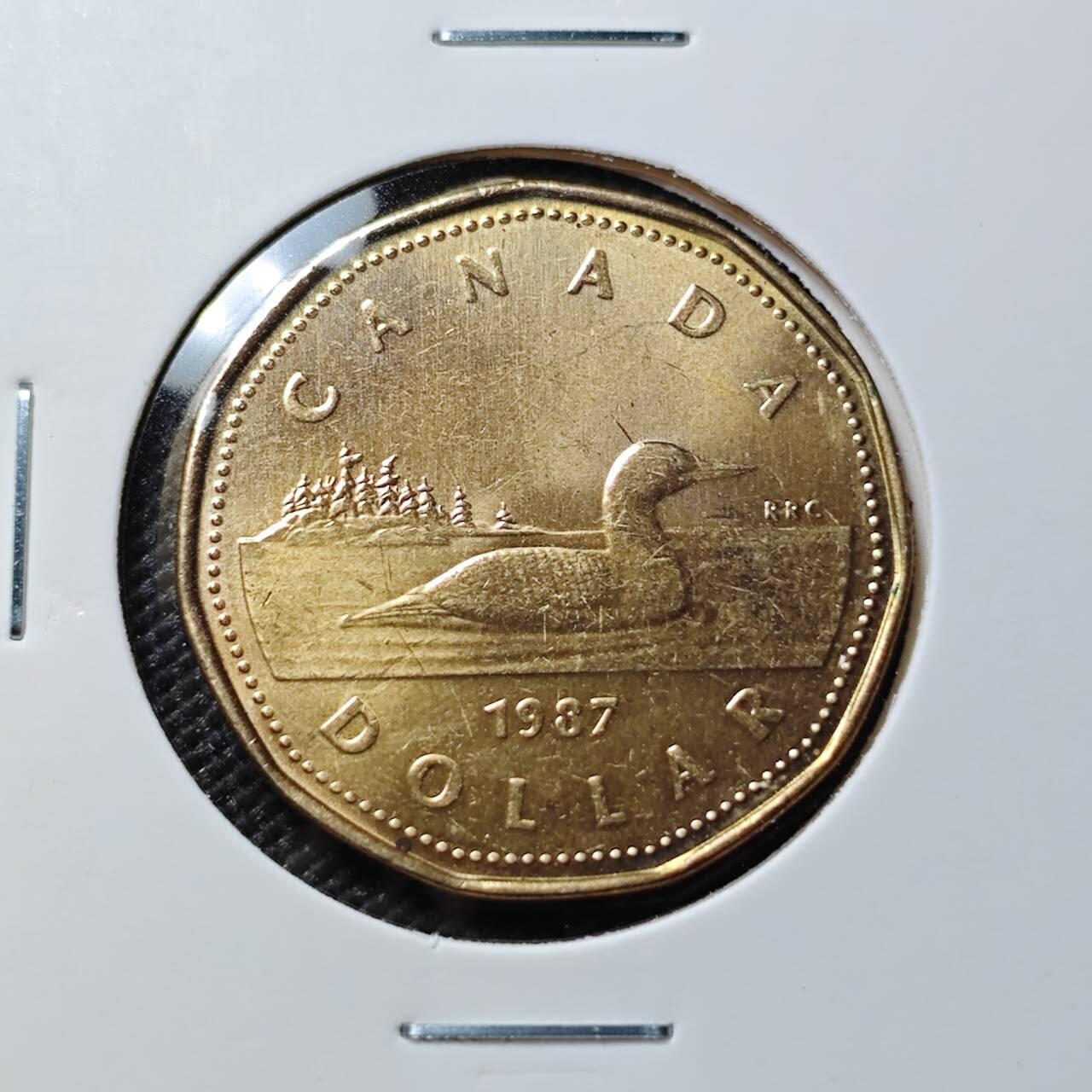 KK钱币收藏小铺  第385期  2月预留时间 周末发货  加拿大1元好品