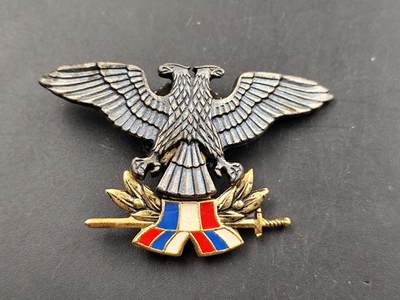 1月6日徽章钱币专场 - 南斯拉夫双头鹰帽徽