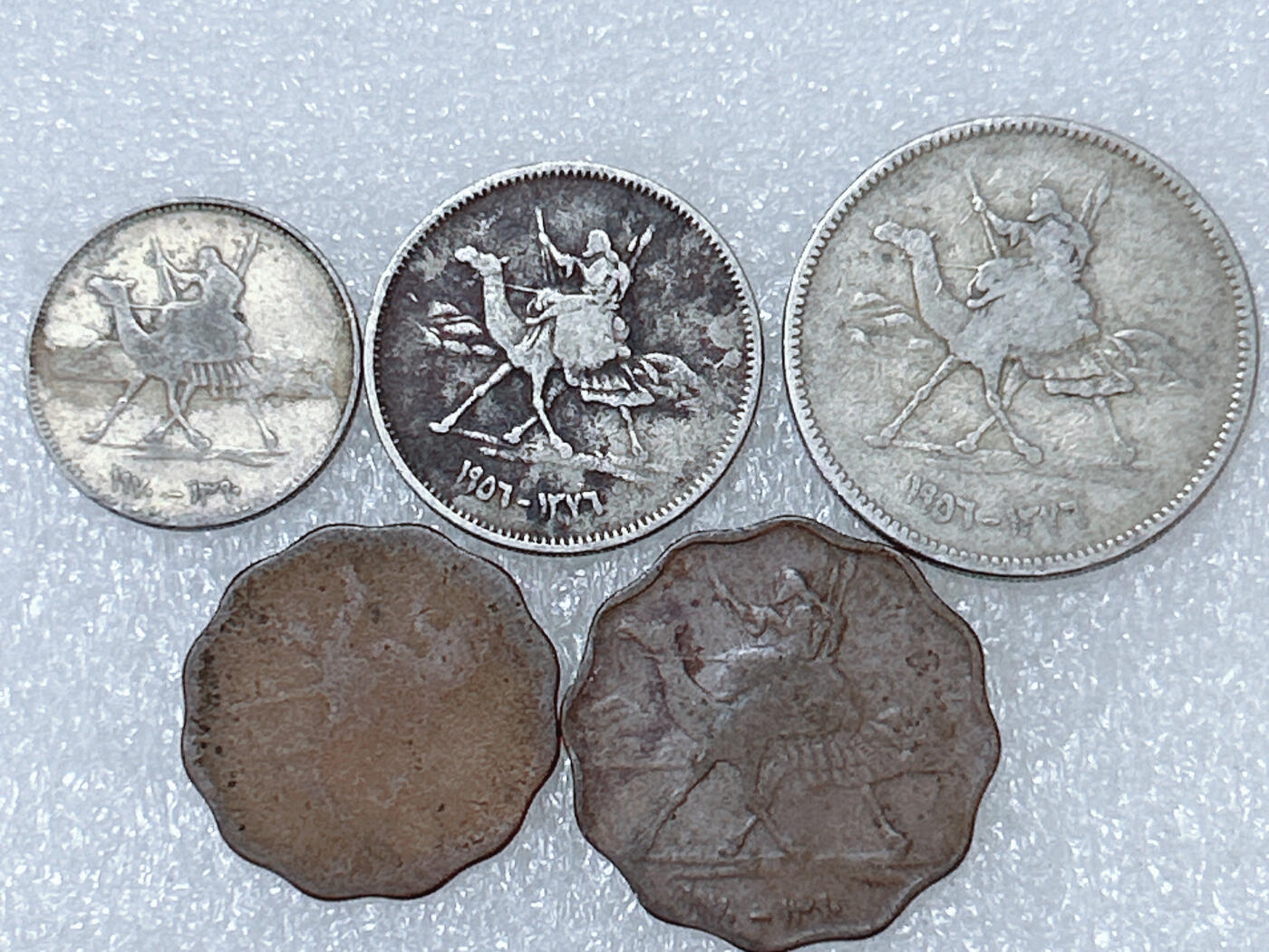 第一海外回流一元起拍收藏 散集专场  第286期 苏丹骆驼骑士硬币 5枚