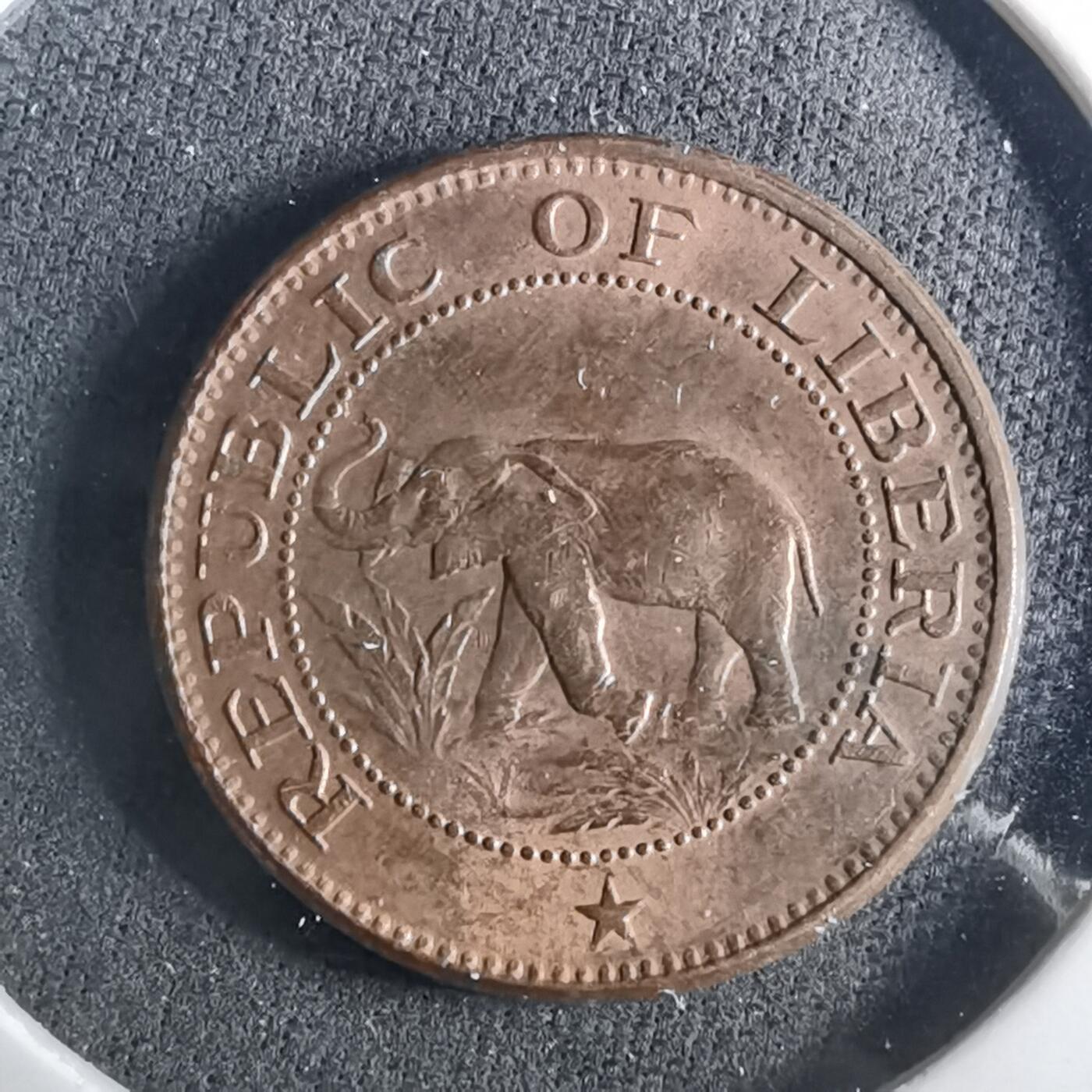 沼泽如烟--第952场