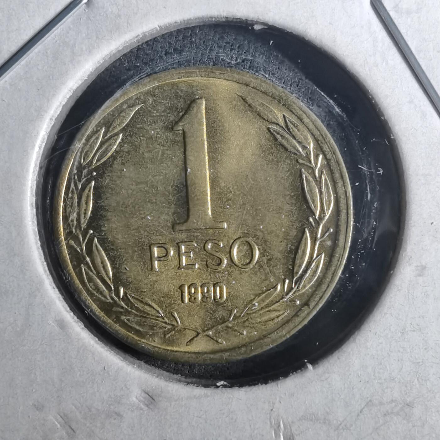 沼泽如烟--第952场 智利1990年1比索