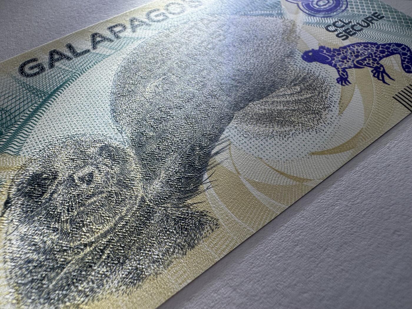 2026第1场（总第228期）：精品测试钞、外钞、塑料钞、连体钞综合场 加拿大CCL “加拉帕戈斯群岛”8面值Spartan斯巴达塑料材质测试钞UNC