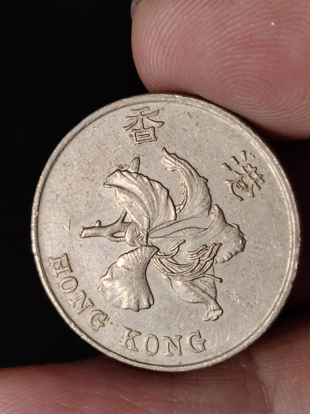 猩哥外币小铺➨【第216场】 壹圆