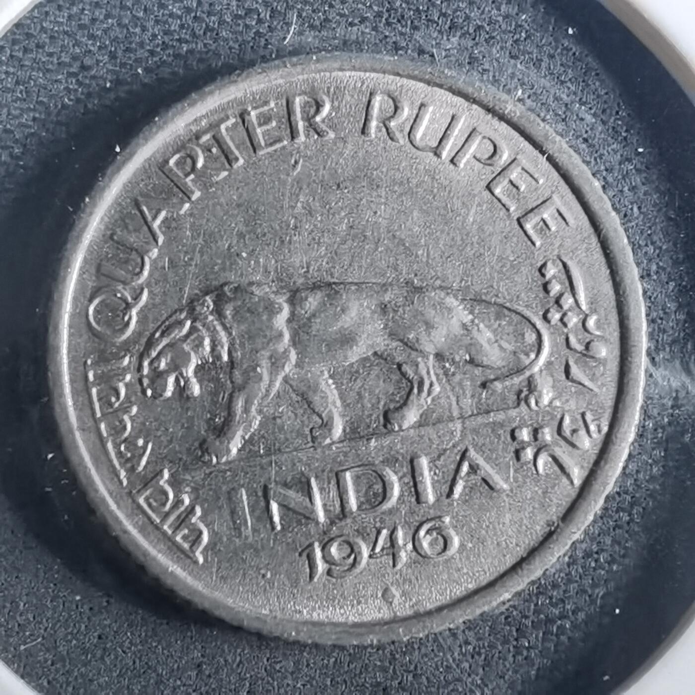 沼泽如烟--第952场