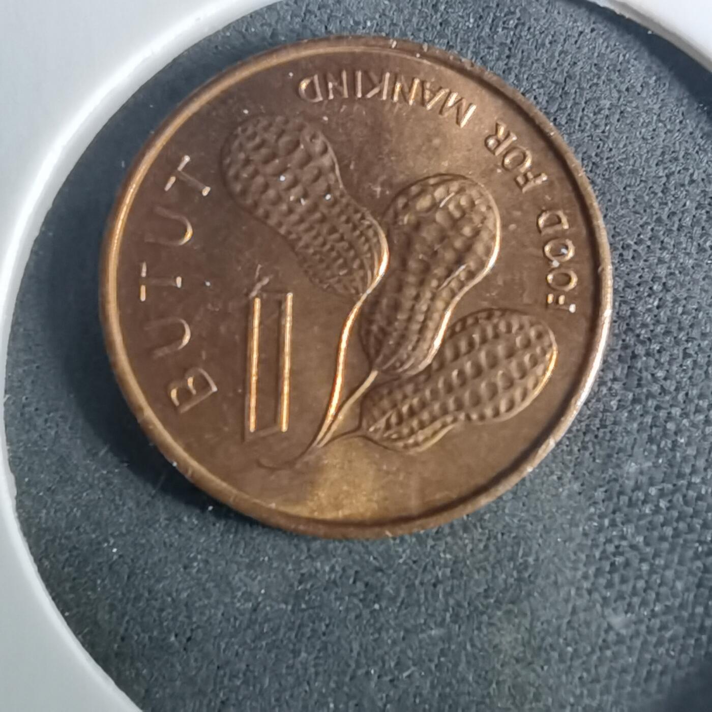 沼泽如烟--第952场 冈比亚1974年1布图