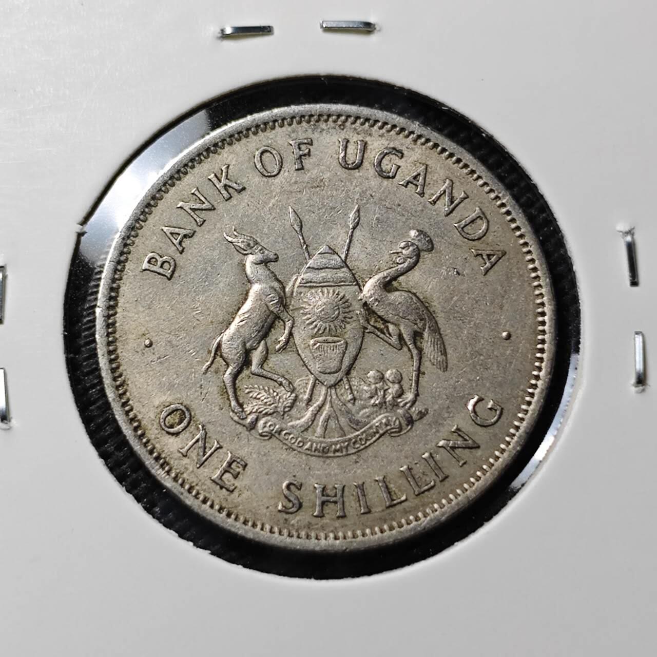 KK钱币收藏小铺  第385期  2月预留时间 周末发货