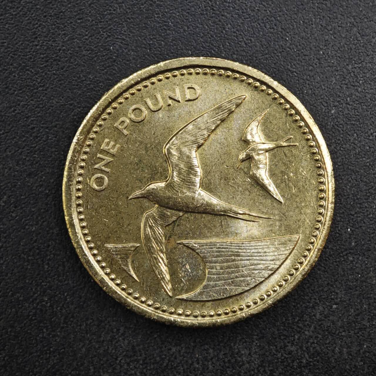 【淘币小摊】限时拍第八百四十拍  散币银币场  满百包邮可预留两周  周一统一发货  圣赫勒拿1984年1镑铜币