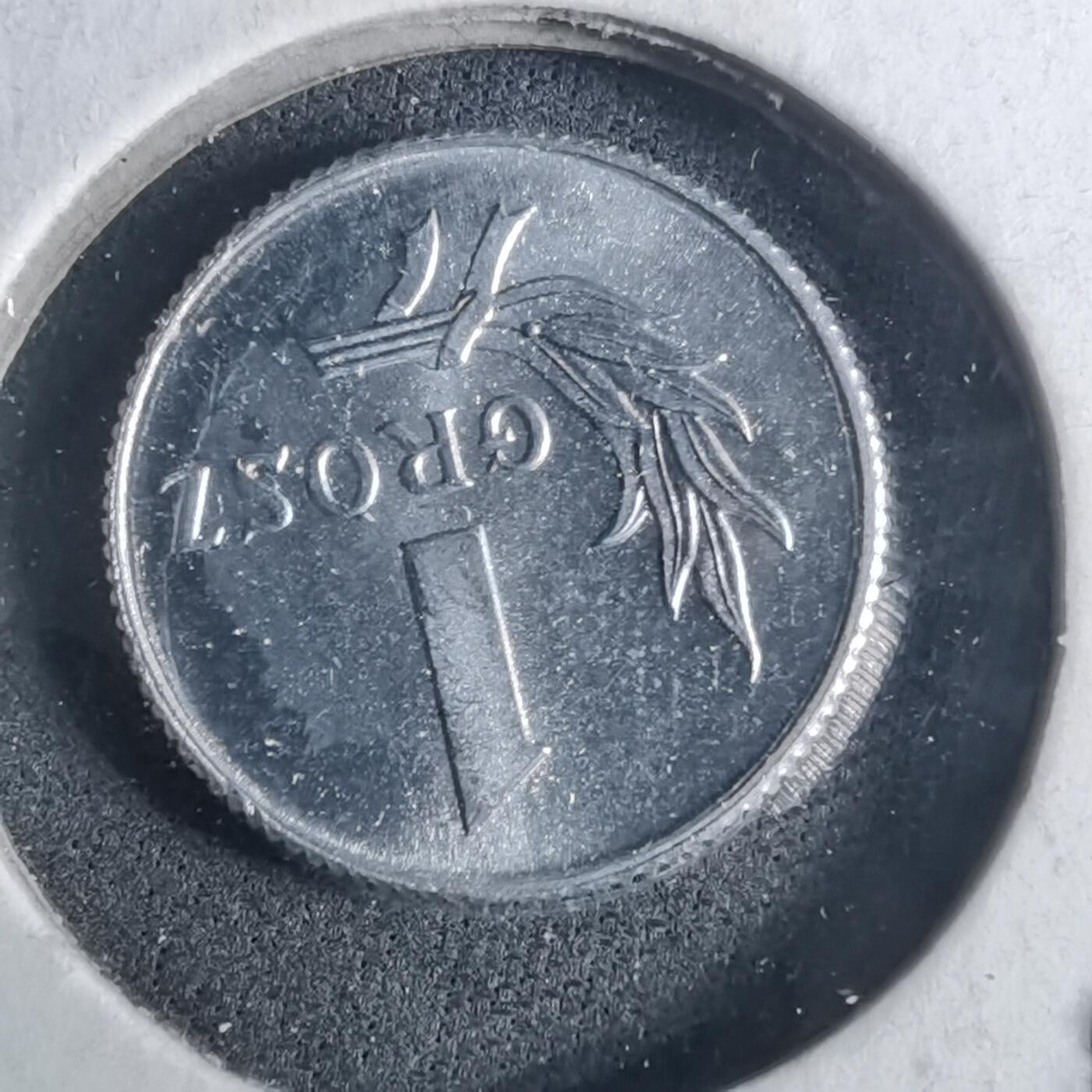 沼泽如烟--第952场 波兰1949年1格罗申