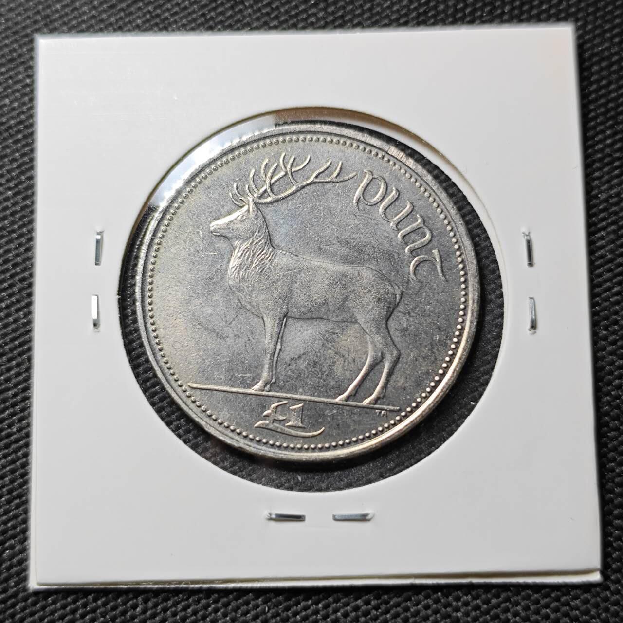 KK钱币收藏小铺  第385期  2月预留时间 周末发货