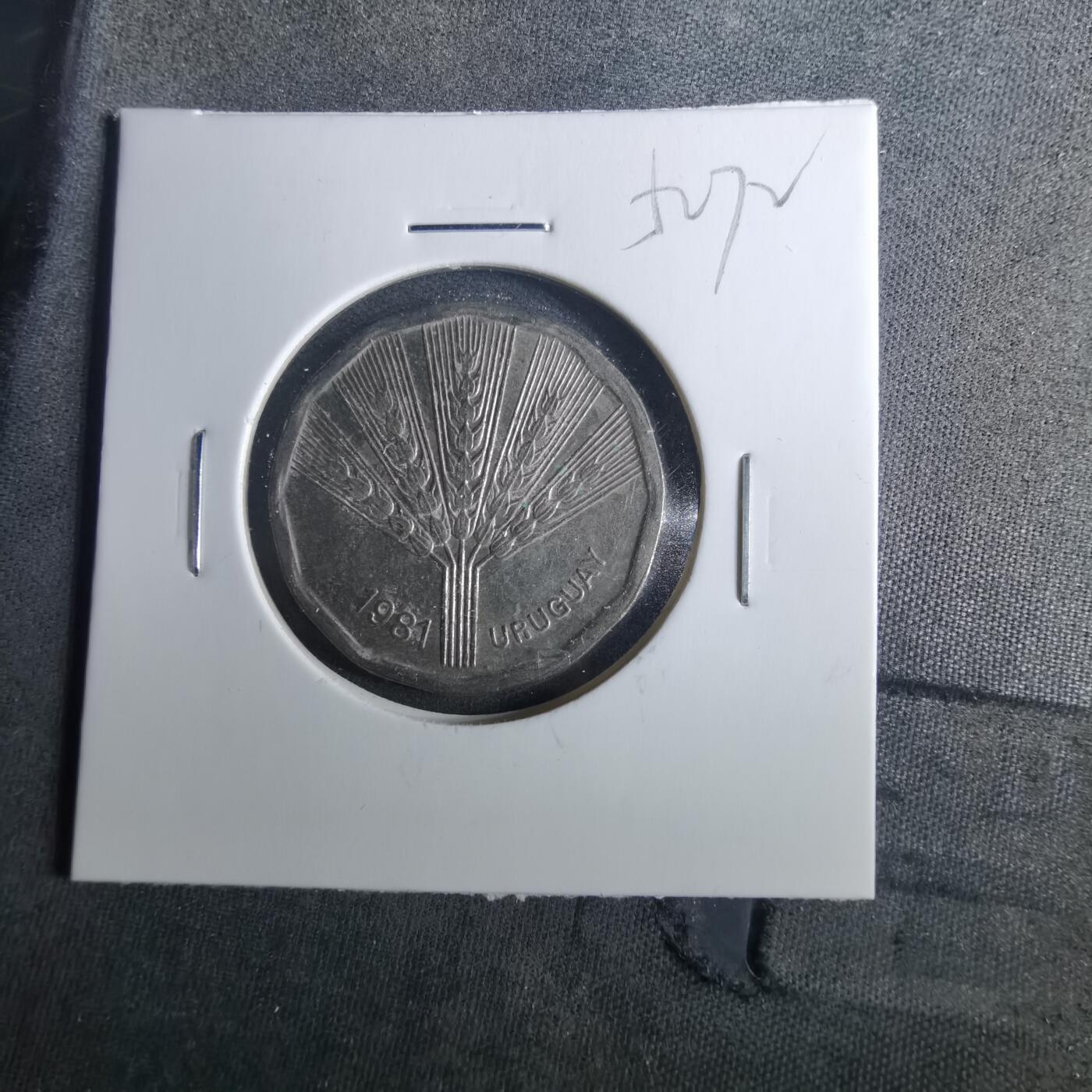 沼泽如烟--第952场 乌拉圭1981年2比索